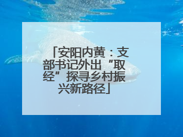 安阳内黄：支部书记外出“取经”探寻乡村振兴新路径