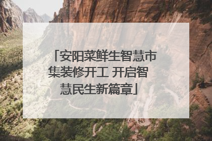 安阳菜鲜生智慧市集装修开工 开启智慧民生新篇章
