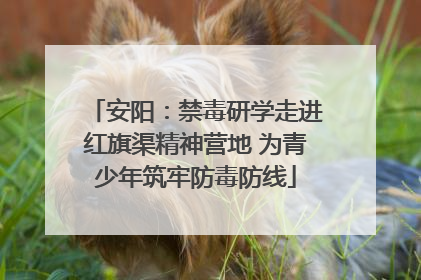 安阳：禁毒研学走进红旗渠精神营地 为青少年筑牢防毒防线