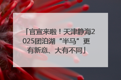 官宣来啦！天津静海2025团泊湖“半马”更有新意、大有不同