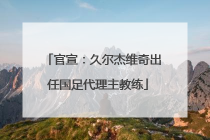 官宣：久尔杰维奇出任国足代理主教练
