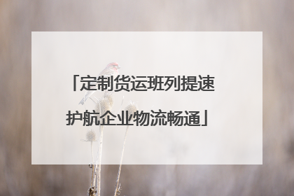 定制货运班列提速 护航企业物流畅通