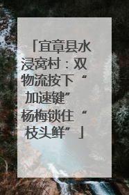 宜章县水浸窝村：双物流按下“加速键” 杨梅锁住“枝头鲜”