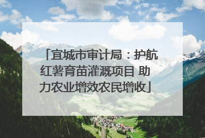 宜城市审计局：护航红薯育苗灌溉项目 助力农业增效农民增收
