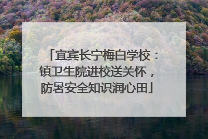 宜宾长宁梅白学校：镇卫生院进校送关怀，防暑安全知识润心田