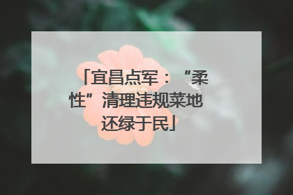 宜昌点军：“柔性”清理违规菜地 还绿于民