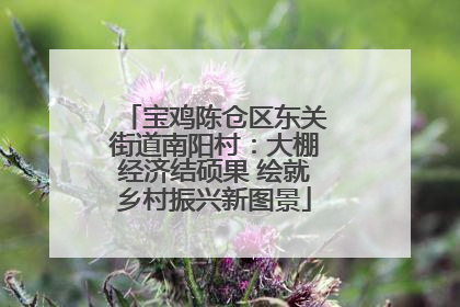宝鸡陈仓区东关街道南阳村：大棚经济结硕果 绘就乡村振兴新图景