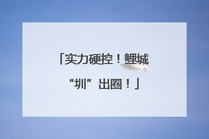 实力硬控！鲤城“圳”出圈！