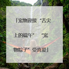宠物迎接“舌尖上的端午” “宠物粽子”受喜爱