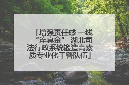 增强责任感 一线“淬真金” 湖北司法行政系统锻造高素质专业化干警队伍