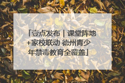 壹点发布｜课堂阵地+家校联动 德州青少年禁毒教育全覆盖