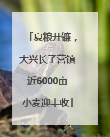 夏粮开镰，大兴长子营镇近6000亩小麦迎丰收