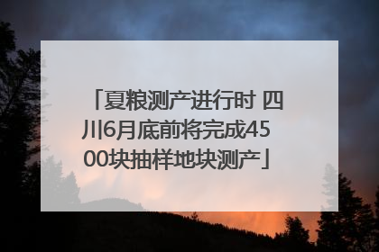 夏粮测产进行时 四川6月底前将完成4500块抽样地块测产