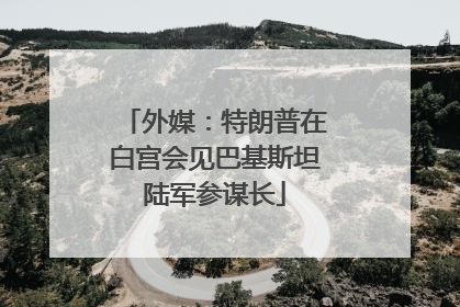 外媒：特朗普在白宫会见巴基斯坦陆军参谋长