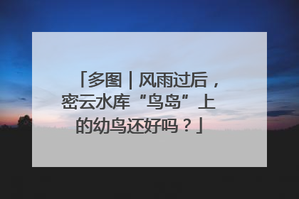 多图｜风雨过后，密云水库“鸟岛”上的幼鸟还好吗？