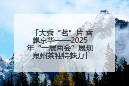 大秀“茗”片 香飘京华——2025年“一展两会”展现泉州茶独特魅力