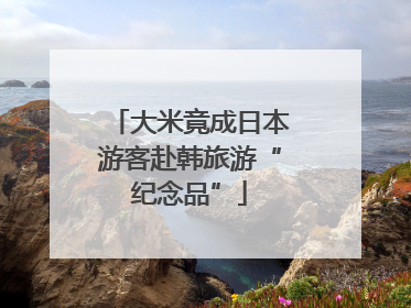 大米竟成日本游客赴韩旅游“纪念品”