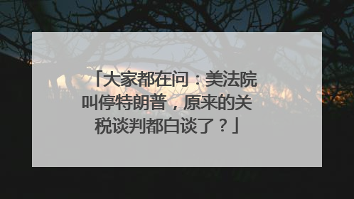 大家都在问：美法院叫停特朗普，原来的关税谈判都白谈了？