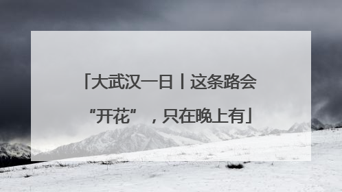 大武汉一日丨这条路会“开花”，只在晚上有