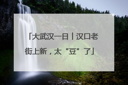 大武汉一日︱汉口老街上新，太“豆”了