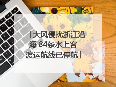 大风侵扰浙江沿海 84条水上客渡运航线已停航