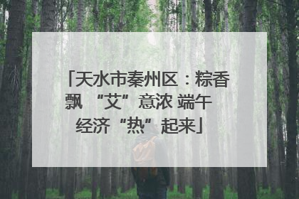 天水市秦州区：粽香飘 “艾”意浓 端午经济“热”起来