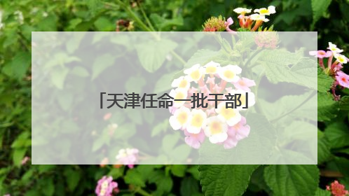 天津任命一批干部