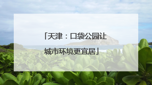 天津：口袋公园让城市环境更宜居