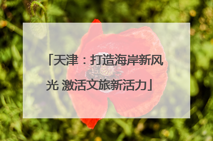 天津：打造海岸新风光 激活文旅新活力