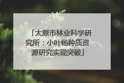 太原市林业科学研究所：小叶杨种质资源研究实现突破