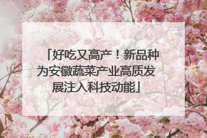 好吃又高产！新品种为安徽蔬菜产业高质发展注入科技动能