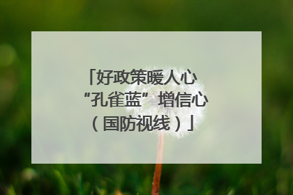 好政策暖人心 “孔雀蓝”增信心（国防视线）