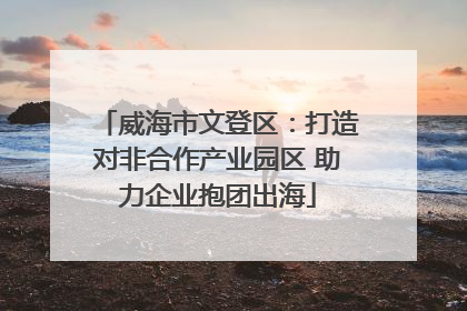 威海市文登区：打造对非合作产业园区 助力企业抱团出海