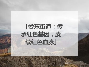 娄东街道：传承红色基因，赓续红色血脉