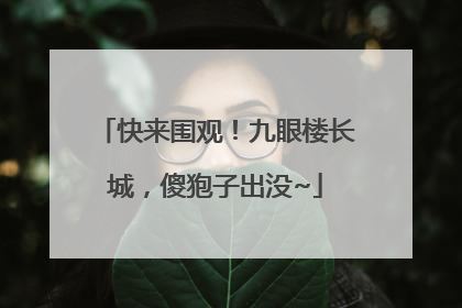 快来围观！九眼楼长城，傻狍子出没~