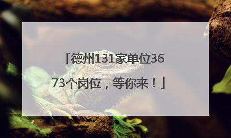 德州131家单位3673个岗位，等你来！