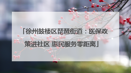 徐州鼓楼区琵琶街道：医保政策进社区 惠民服务零距离