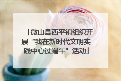微山县西平镇组织开展“我在新时代文明实践中心过端午”活动
