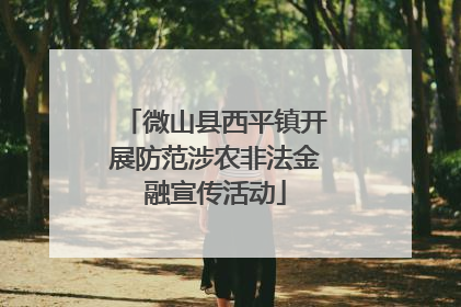 微山县西平镇开展防范涉农非法金融宣传活动