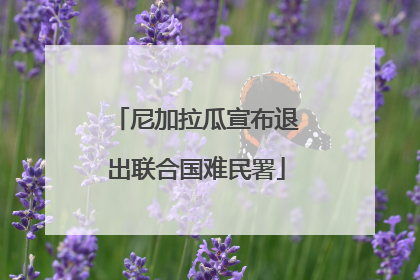 尼加拉瓜宣布退出联合国难民署
