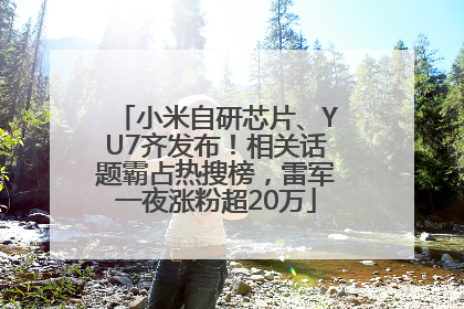 小米自研芯片、YU7齐发布！相关话题霸占热搜榜，雷军一夜涨粉超20万