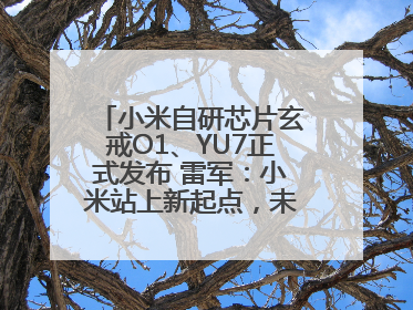 小米自研芯片玄戒O1、YU7正式发布 雷军：小米站上新起点，未来五年研发翻倍再投2000亿元