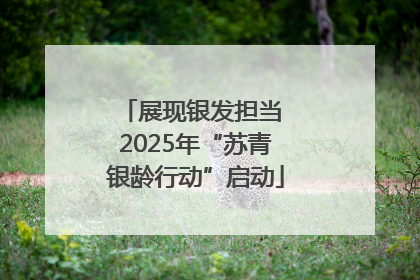 展现银发担当 2025年“苏青银龄行动”启动