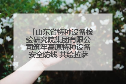 山东省特种设备检验研究院集团有限公司筑牢高原特种设备安全防线 共绘拉萨美好生活画卷