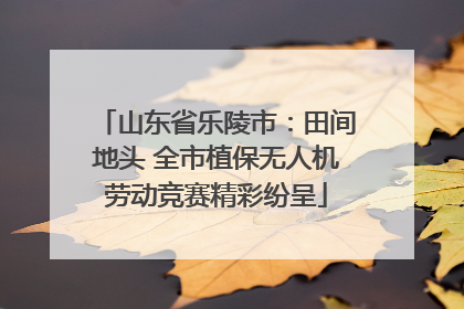 山东省乐陵市：田间地头 全市植保无人机劳动竞赛精彩纷呈