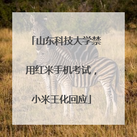 山东科技大学禁用红米手机考试，小米王化回应