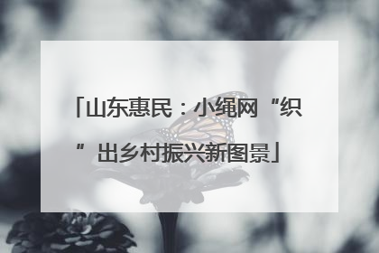 山东惠民：小绳网“织”出乡村振兴新图景