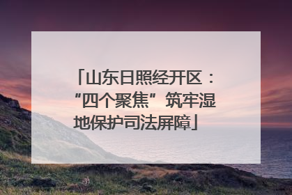 山东日照经开区：“四个聚焦”筑牢湿地保护司法屏障
