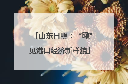 山东日照：“瞰”见港口经济新样貌