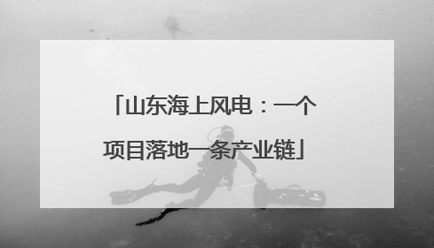 山东海上风电：一个项目落地一条产业链